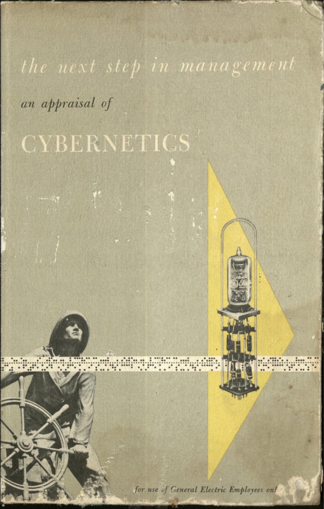 An Appraisal of The Next Step in Management Cybernetics
