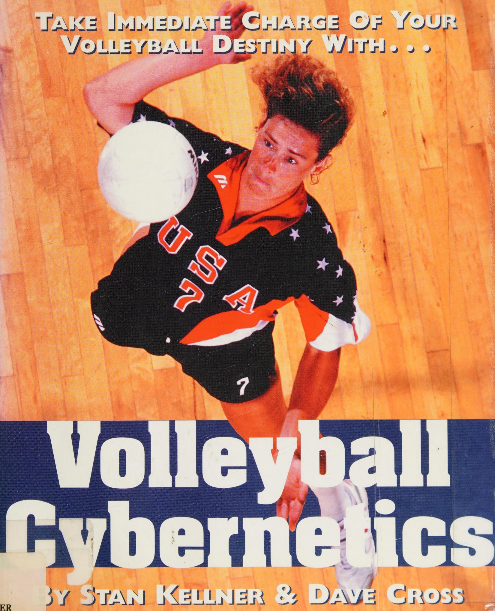 Volleyball Cybernetics