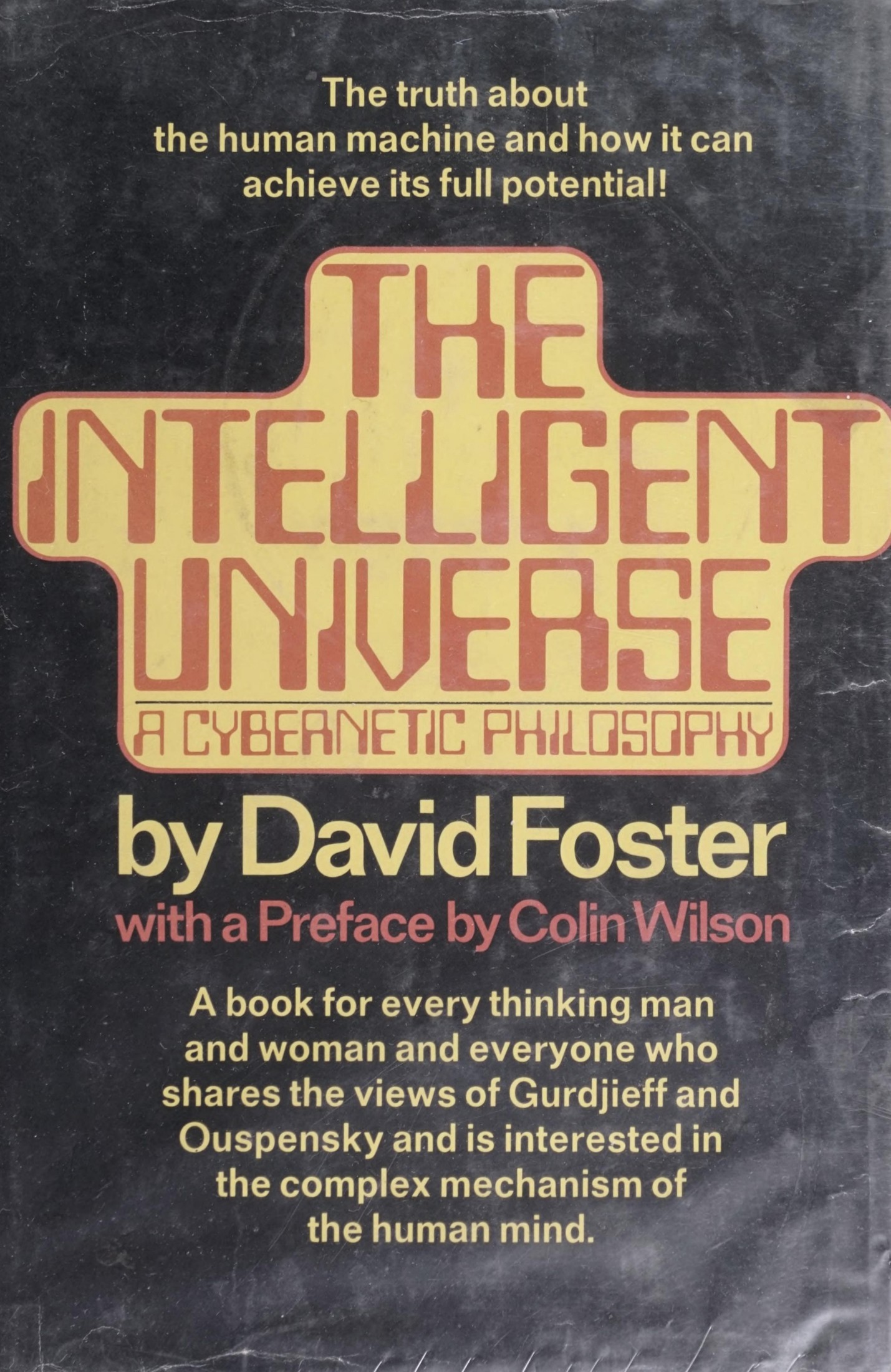 The Intelligent Universe: A Cybernetic Philosophy