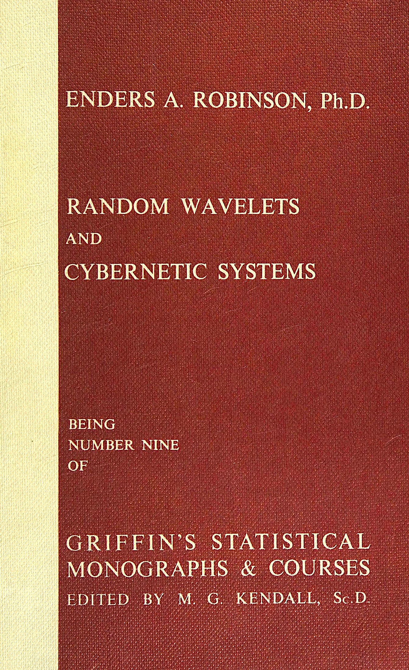 Random Wavelets and Cybernetic Systems