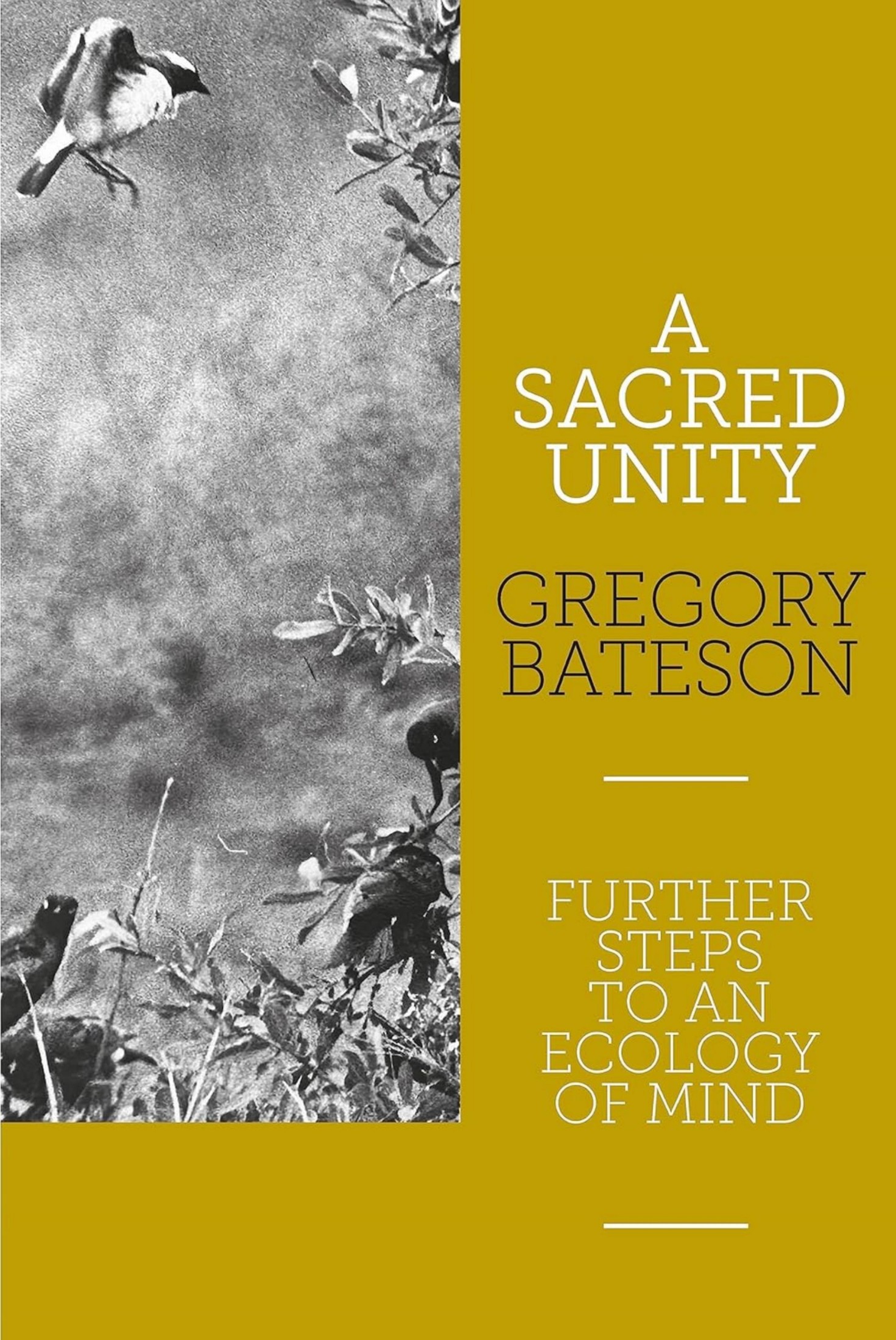 A Sacred Unity: Further Steps to an Ecology of Mind