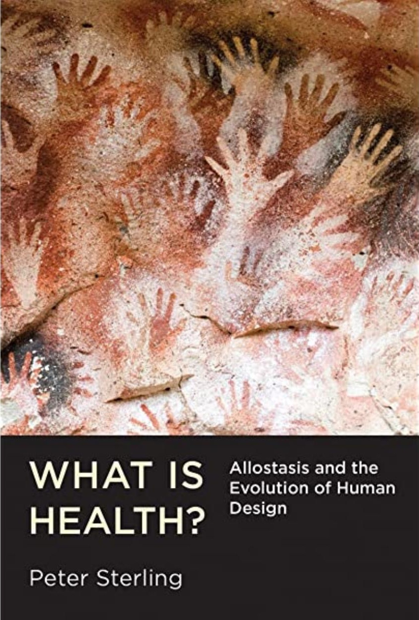 What Is Health? Allostasis and the Evolution of Human Design